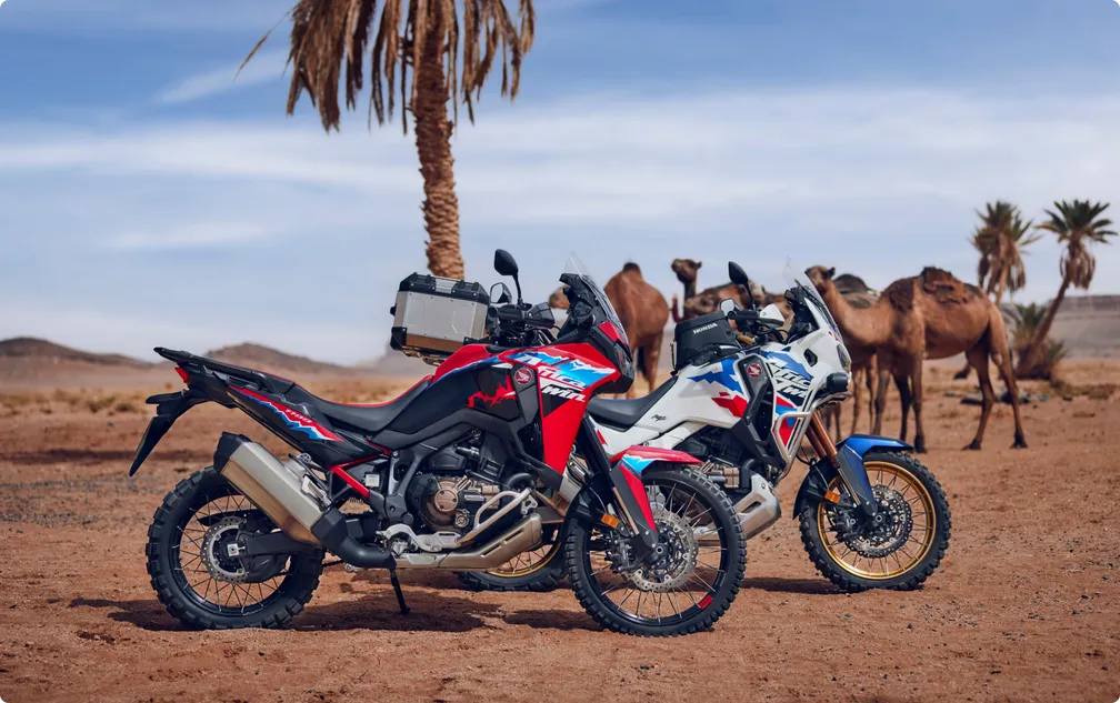 Honda Africa Twin - Görsel 5